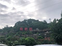 -枇杷园食为鲜火锅(南山店)