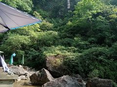 -龙翔山庄雷鸡肉(青城后山泰安古镇店)