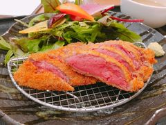 炸牛排-牛かつもと村(上野店)