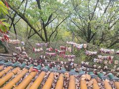 -丰都鬼城名山景区