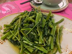飞天空心菜-苏梅花园(群星城店)