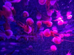 -福州罗源湾海洋世界旅游区