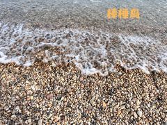 -棒棰岛宾馆景区