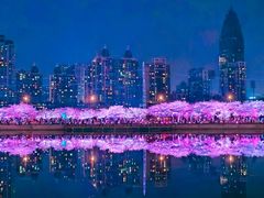 -西北湖绿化广场