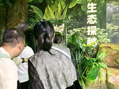 -海合安成都极地海洋公园