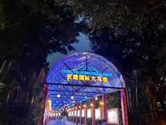 -广州长隆国际大马戏