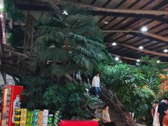 -老山东·山东菜(鲁菜名店)