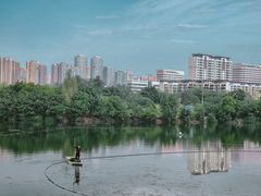 -三圣花乡旅游区