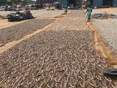 -尼甘布海鲜市场