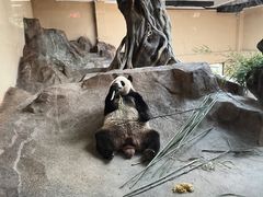 -宁波野生动物园