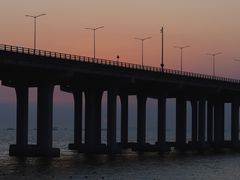 -宝安西湾红树林湿地公园