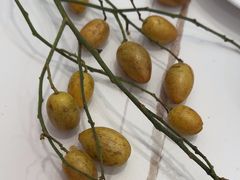 -第六季自助餐厅(北太平庄店)