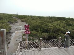 -北海金海湾红树林生态旅游区