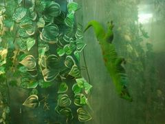 android_upload_pic-上海大自然野生昆虫馆