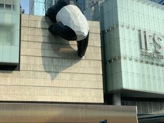 -老成都·古法采耳·禅洗头疗(四川总店)