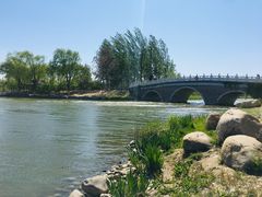 -大兴滨河森林公园