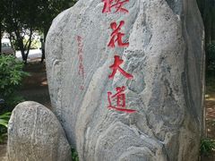 -武汉大学-樱园