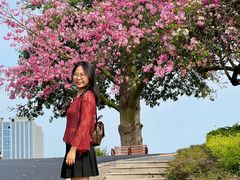 -东莞植物园