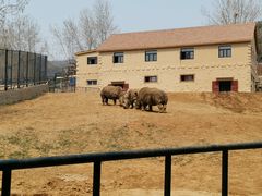 -大连森林动物园