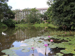 -北京师范大学(珠海校区)