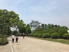-名古屋城