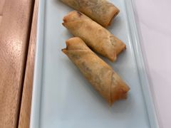 -财兜兜大黄山小馄饨