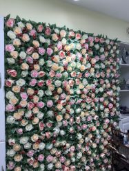 -变美丽半永久纹眉连锁·机器野生眉•洗眉