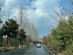 -南京市无想山景区