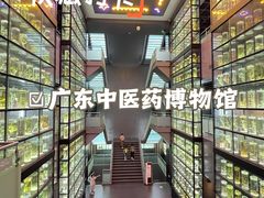 -广东中医药博物馆