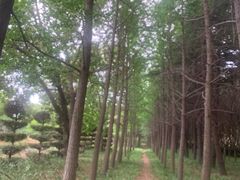 -洛阳市隋唐城遗址植物园