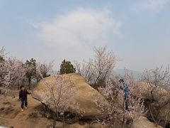 -白水寺森林公园