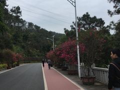 -仙岳公园