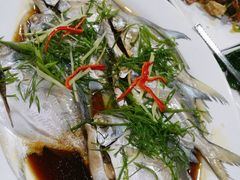 -朝陽市場