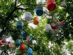 -西溪国家湿地公园