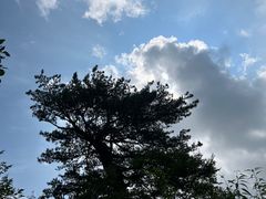 -玉渡山自然风景区