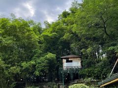 -竹海听涛生态山庄