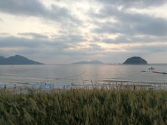 -西涌国际滨海旅游区