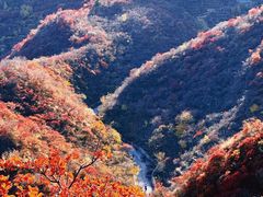 -水峪民俗村
