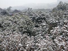 -贵阳市花溪国家城市湿地公园