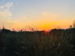 -黑山头列夫湿地庄园涅瓦餐厅