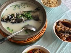 -天乐农家鱼头王(天目湖店)