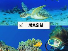 -巽寮湾