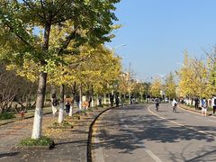 -霸王牛肉(龙湖U城店)