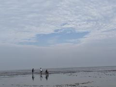 -南汇嘴观海公园