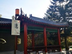 -长春市南湖公园