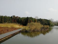 -溱湖国家湿地公园