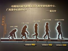 -广西壮族自治区博物馆