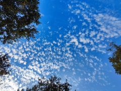 -贡湖湾湿地公园