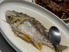姜丝蒸黄脚立鱼-花城苑广府菜(侨鑫店)