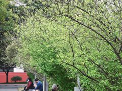 -四川大学(望江校区)